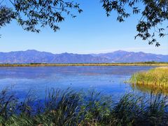 -野鸭湖国家湿地公园