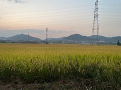 -李东农庄(中南百草园地标店)