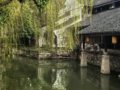 -鲁镇