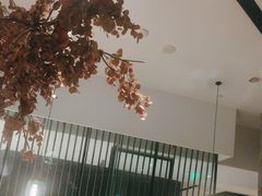-大头椰·海南椰子鸡火锅(思明万象城店)