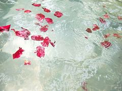 -三亚珠江南田温泉度假区