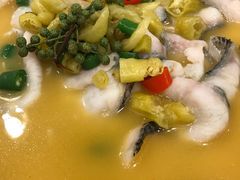 -蜀腾川·火锅鱼.烤鱼(新世界城店)