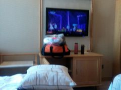 -长沙小天鹅戴斯酒店