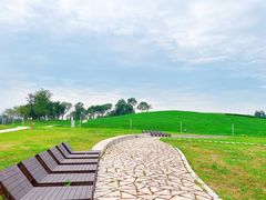 -白鹭湾湿地公园