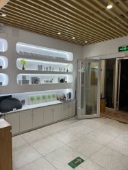 -薇薇安花系SPA