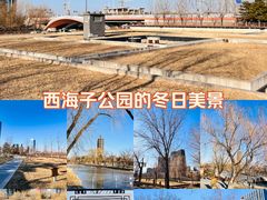 -西海子公园