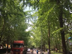 -四川大学(望江校区)