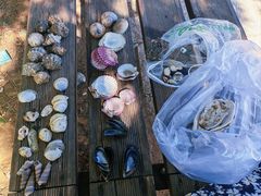 -大连金石滩滨海国家地质公园