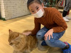 -藏猫猫咖啡主题馆(中央大道店)