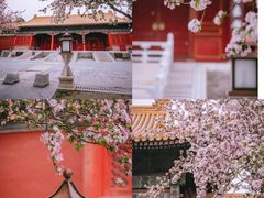 -故宫博物院(故宫)