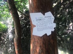 -雁荡山风景名胜区