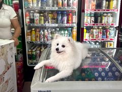 -深圳来福士广场