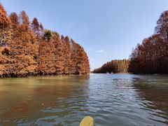 -上海海湾国家森林公园