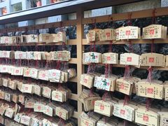 -有栖山 清光院 清水寺