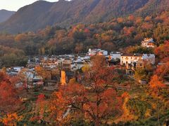 -塔川景区