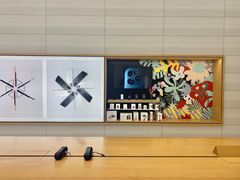 -Apple零售店(济南恒隆广场店)