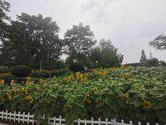 -廊坊文化艺术中心