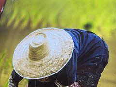 -光海·乡记酸菜鱼·始于1996(花园路店)