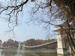 -东湖落雁景区