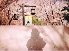 景点-西安汉城湖景区