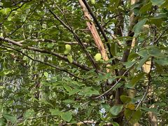 -白塘生态植物园