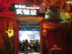 -青岛嘉年华主题乐园