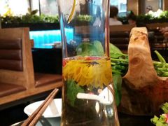 -东椰·海南椰子鸡火锅(朝阳门店)