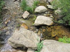 -碓臼峪自然风景区