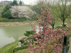 -堤角公园