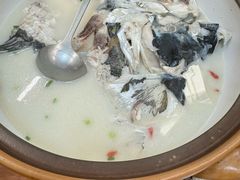-全乐鱼馆·淳牌有机鱼直营店