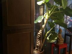 -Dragonfly 悠庭·按摩Spa(苏州中心广场店)