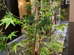 -刘胖子家常菜·蹄花焖藕(中南店)