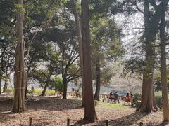 -井之头恩赐公园