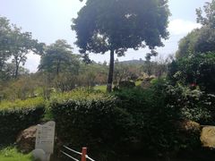 -广州市帽峰山景区