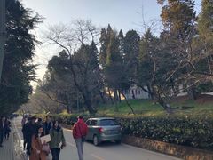 -武汉大学-樱园