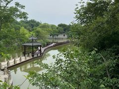 -朴园