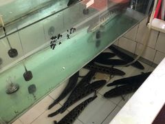 -老四川平头酸菜鱼(衙前店)