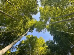 -天目湖涵田度假村