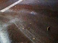 -云漫湖生态度假公园