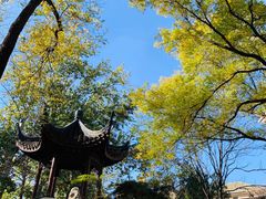 -君庭中餐厅(友谊宾馆店)