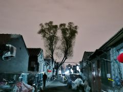 -百花深处胡同