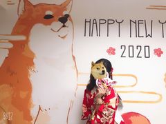 -柴迷FANS CLUB·柴犬狗咖·猫咖