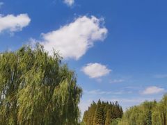 -南湖湿地公园