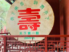 -南岳衡山风景名胜区-南岳大庙