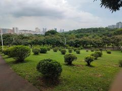-紫马岭公园