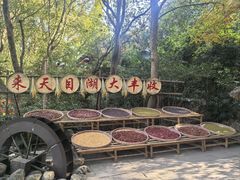 -天目湖山水园
