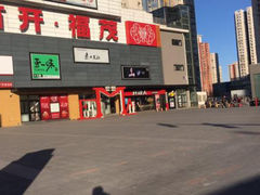 -宋家庄(地铁站)