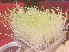 -好彩猪肚鸡(正弘城店)