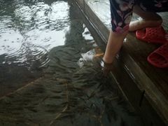 -汤乐汇•足道•SPA生活馆