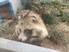 -无锡动物园·太湖欢乐园